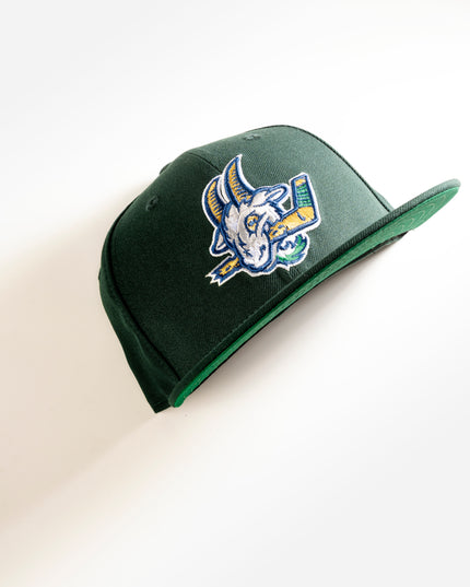 HARTFORD YARD GOATS HOCKEY 59FIFTY FITTED HAT