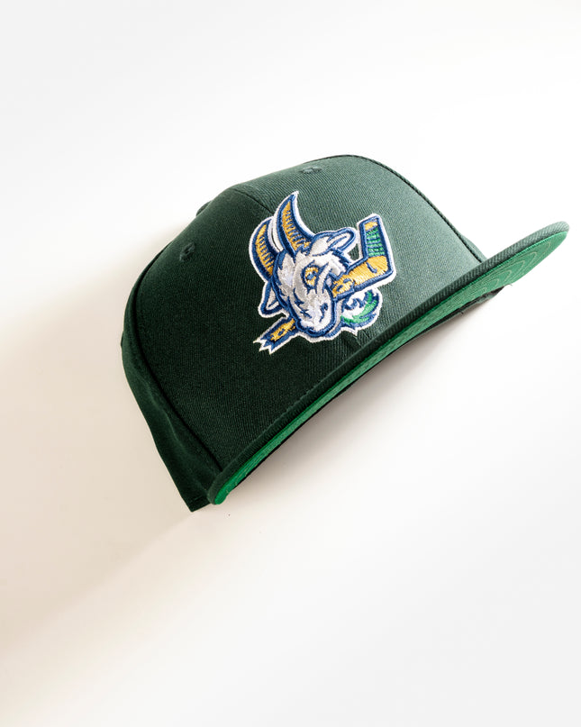 HARTFORD YARD GOATS HOCKEY 59FIFTY FITTED HAT