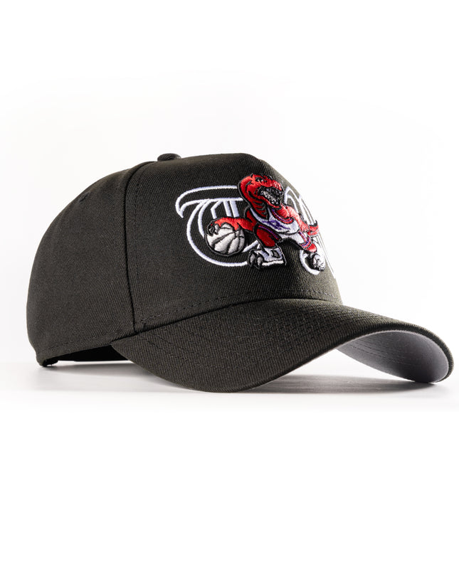 New Era Toronto Raptors TR 2.0 9Forty A-Frame Snapback Hat