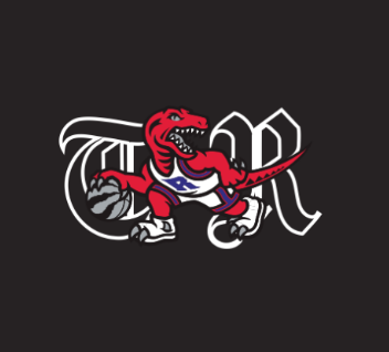 New Era Toronto Raptors TR 2.0 9Forty A-Frame Snapback Hat
