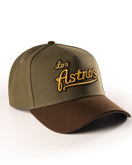 HOUSTON ASTROS BEEF & BROCCOLI 9FORTY A-FRAME SNAPBACK HAT
