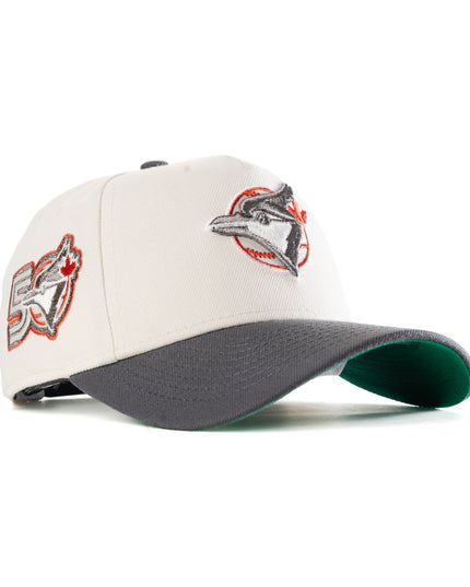 TORONTO BLUE JAYS YOUTH 50TH ANNIVERSARY 9FORTY A-FRAME SNAPBACK HAT